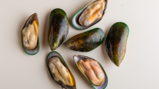 Green-lipped mussel
